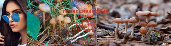 спиды Михайловка