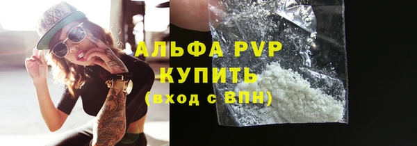 крисы Мегион