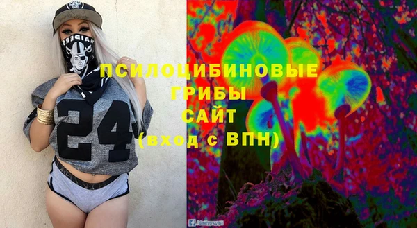 тгк Медвежьегорск