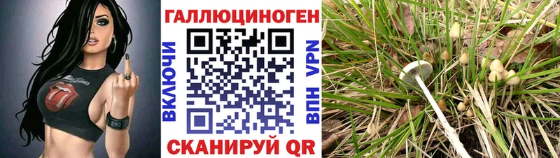 Галлюциногенные грибы мицелий  даркнет какой сайт  Удачный 