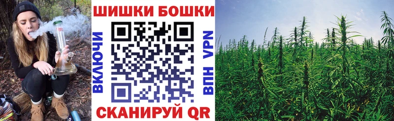 МЕГА ТОР  Удачный  Канабис семена 
